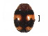  ( - HW2)  @11 [ ] CreativeCommons - Attribution Share-Alike (2019) Unspecified South China Agricultural University, Department of Entomology