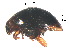  ( - SSK7-1)  @11 [ ] CreativeCommons - Attribution Share-Alike (2019) Unspecified South China Agricultural University, Department of Entomology