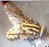  ( - SAB1)  @12 [ ] Copyright (2018) Government Institute of Science Aurangabad Government Institute of Science, Aurangabad