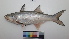  ( - DBEIA_ETD_PRB_004)  @11 [ ] Unspecified (default): All Rights Reserved  Unspecified Unspecified
