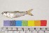  ( - NF434)  @13 [ ] Unspecified (default): All Rights Reserved  Unspecified Unspecified