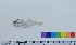  ( - NF46)  @13 [ ] Unspecified (default): All Rights Reserved  Unspecified Unspecified
