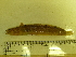  ( - Okh_60)  @12 [ ] No Rights Reserved (2011) Unspecified Institute of Marine Biology, Vladivostok