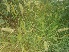  ( - Ziarat 161)  @11 [ ] Unspecified (default): All Rights Reserved (2019) Shazia Irfan BUITEMS