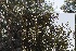  ( - Ziarat 175)  @11 [ ] Unspecified (default): All Rights Reserved (2019) Shazia Irfan BUITEMS