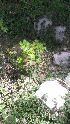  ( - Ziarat 206)  @11 [ ] Unspecified (default): All Rights Reserved (2019) Shazia Irfan BUITEMS