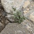  ( - Ziarat 89)  @11 [ ] Unspecified (default): All Rights Reserved (2019) Shazia Irfan BUITEMS