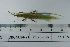  ( - DB23-13b)  @11 [ ] c (2022) Unspecified Specimen depository of the Graduate School of Science, Nagoya City University