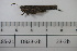  ( - DB23-2b)  @11 [ ] c (2022) Unspecified Specimen depository of the Graduate School of Science, Nagoya City University