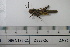  ( - DB23-2c)  @11 [ ] c (2022) Unspecified Specimen depository of the Graduate School of Science, Nagoya City University