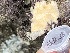  ( - Ak11-13)  @11 [ ] Copyright (2025) Unspecified Middle East Technical University, Institute of Marine Sciences