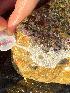  ( - Ak4-6)  @11 [ ] Copyright (2025) Unspecified Middle East Technical University, Institute of Marine Sciences