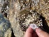  ( - Ak5-32)  @11 [ ] Copyright (2025) Unspecified Middle East Technical University, Institute of Marine Sciences