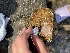  ( - EG5-20)  @11 [ ] Copyright (2025) Unspecified Middle East Technical University, Institute of Marine Sciences