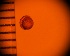  ( - DBLSA_NL297)  @11 [ ] c (2024) Unspecified Specimen depository of the Graduate School of Science,Nagoya City University