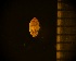  (Gastrocopta contracta - DBLSA_NL442)  @11 [ ] c (2024) Unspecified Specimen depository of the Graduate School of Science,Nagoya City University