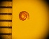  (Kaliella sp - DBLSA_NL454)  @11 [ ] Copyright (2025) Unspecified Nagoya City University, Graduate School of Science