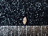  ( - DBLSA_NL380)  @11 [ ] Copyright (2025) Unspecified Nagoya City University, Graduate School of Science