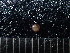  ( - DBLSA_NL126)  @11 [ ] Copyright (2025) Unspecified Nagoya City University, Graduate School of Science