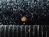  ( - DBLSA_NL135)  @11 [ ] Copyright (2025) Unspecified Nagoya City University, Graduate School of Science