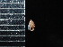  ( - DBLSA_NL438)  @11 [ ] Copyright (2025) Unspecified Nagoya City University, Graduate School of Science