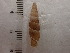  ( - DBLSA_NL123)  @11 [ ] c (2023) Unspecified Specimen depository of the Graduate School of Science,Nagoya City University