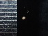  (Trochochlamys subcrenulata - DBLSA_NL307)  @11 [ ] Copyright (2025) Unspecified Nagoya City University, Graduate School of Science