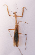  ( - LMS269)  @11 [ ] CreativeCommons-Attribution Share-Alike (2023) Zhi-jun Zhou Hebei University, Museum