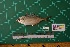  ( - DBMF-M453)  @11 [ ] Unspecified (default): All Rights Reserved  Unspecified Unspecified