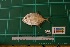  ( - DBMF-M462)  @11 [ ] Unspecified (default): All Rights Reserved  Unspecified Unspecified