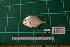  ( - DBMF-M463)  @11 [ ] Unspecified (default): All Rights Reserved  Unspecified Unspecified