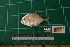  ( - DBMF-M464)  @11 [ ] Unspecified (default): All Rights Reserved  Unspecified Unspecified