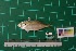  ( - DBMF-M475)  @13 [ ] Unspecified (default): All Rights Reserved  Unspecified Unspecified