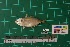 ( - DBMF-M478)  @13 [ ] Unspecified (default): All Rights Reserved  Unspecified Unspecified