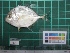  ( - DBMF-M179)  @11 [ ] Unspecified (default): All Rights Reserved  Unspecified Unspecified