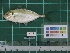  ( - DBMF-M214)  @13 [ ] Unspecified (default): All Rights Reserved  Unspecified Unspecified