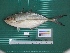  ( - DBMF-M282)  @11 [ ] Unspecified (default): All Rights Reserved  Unspecified Unspecified