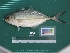  ( - DBMF-M283)  @13 [ ] Unspecified (default): All Rights Reserved  Unspecified Unspecified