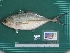  ( - DBMF-M285)  @11 [ ] Unspecified (default): All Rights Reserved  Unspecified Unspecified