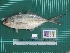  ( - DBMF-M286)  @13 [ ] Unspecified (default): All Rights Reserved  Unspecified Unspecified
