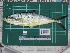  ( - DBMF-M288)  @13 [ ] Unspecified (default): All Rights Reserved  Unspecified Unspecified