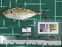  ( - DBMF-M293)  @14 [ ] Unspecified (default): All Rights Reserved  Unspecified Unspecified