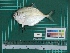  ( - DBMF-M382)  @14 [ ] Unspecified (default): All Rights Reserved  Unspecified Unspecified
