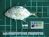  ( - DBMF-M387)  @13 [ ] Unspecified (default): All Rights Reserved  Unspecified Unspecified