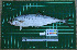  ( - DBMF-M504)  @13 [ ] Unspecified (default): All Rights Reserved  Unspecified Unspecified