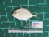  ( - DBMF-M540)  @11 [ ] Unspecified (default): All Rights Reserved  Unspecified Unspecified