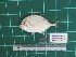  ( - DBMF-M537)  @11 [ ] Unspecified (default): All Rights Reserved  Unspecified Unspecified