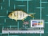  ( - DBMF-M508)  @11 [ ] Unspecified (default): All Rights Reserved  Unspecified Unspecified
