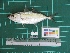  ( - DBMF-M543)  @14 [ ] Unspecified (default): All Rights Reserved  Unspecified Unspecified
