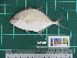  ( - DBMF-M552)  @13 [ ] Unspecified (default): All Rights Reserved  Unspecified Unspecified